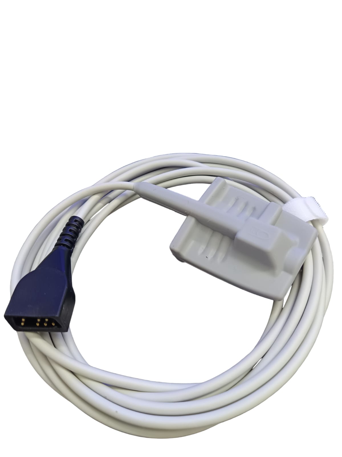 WhatsApp Image 2024-11-06 at 3.12.12 PM (2)